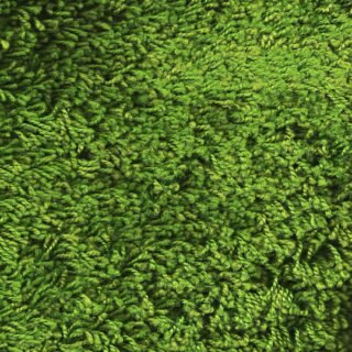 texture, lawn, material